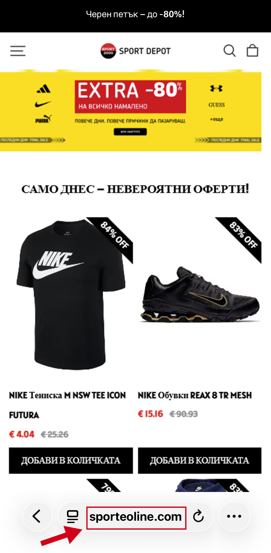 Фалшив сайт - скрийншот 1