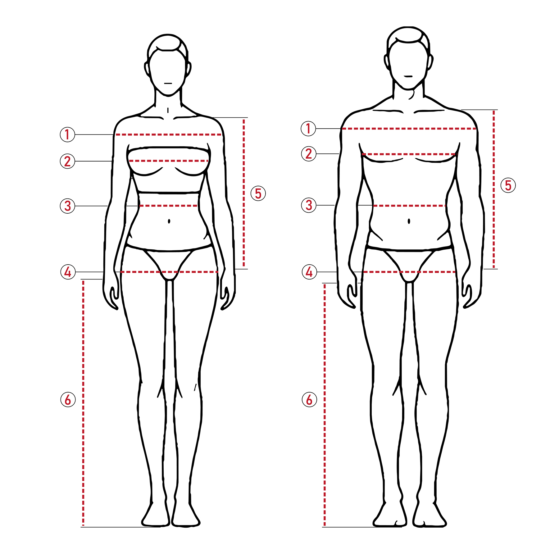 Body measurement guide