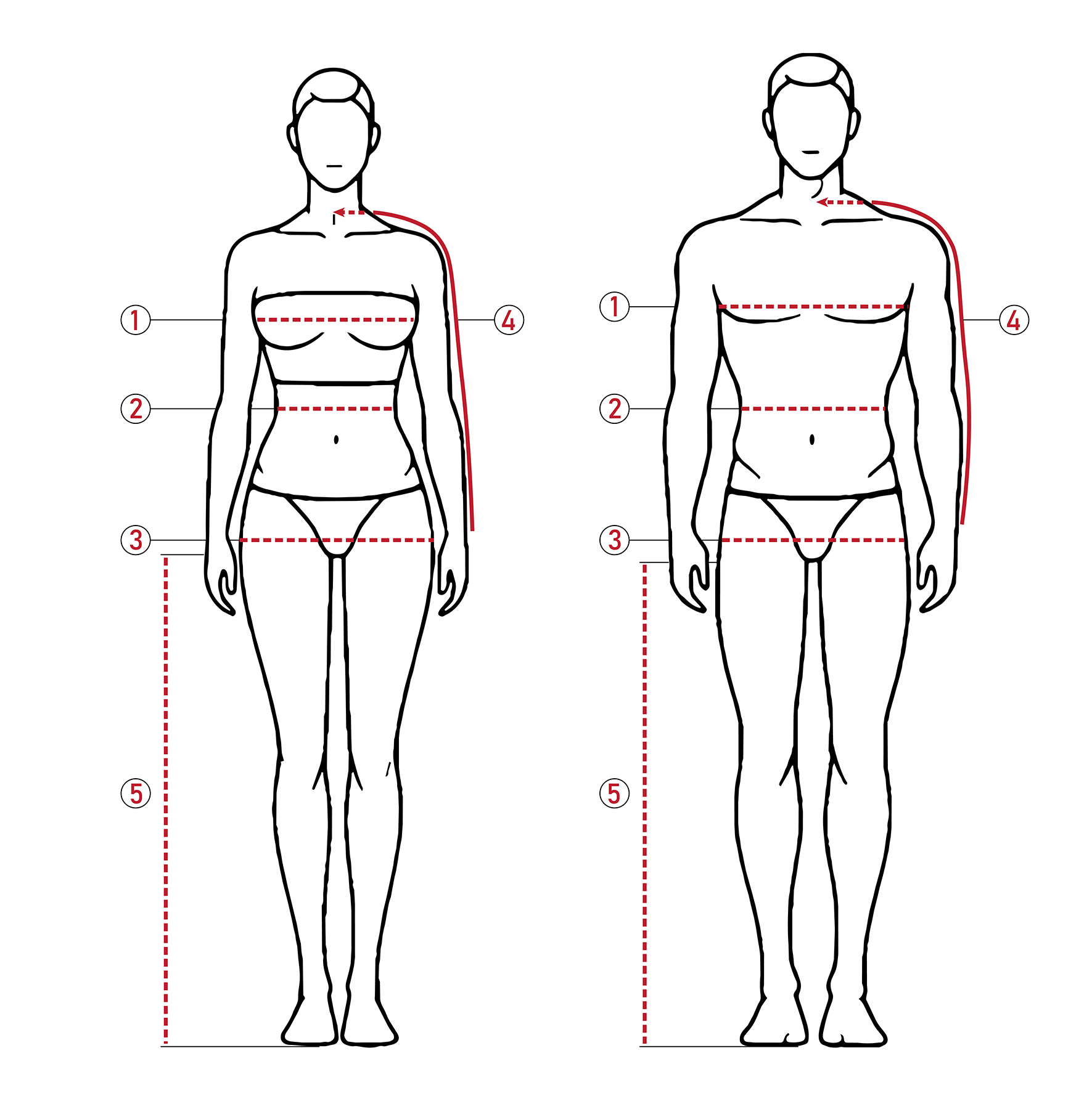 Body measurement guide