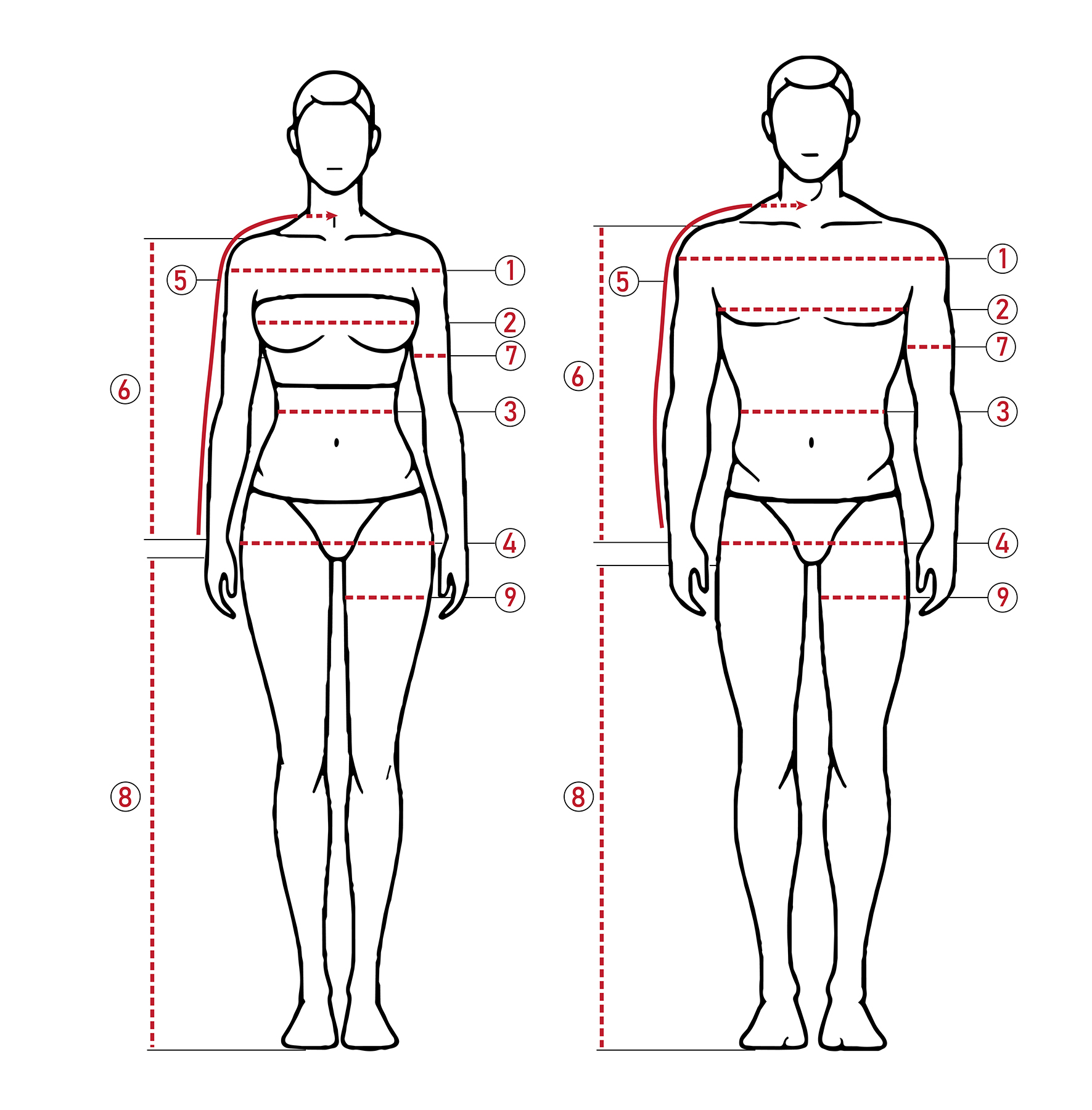 Body measurement diagram