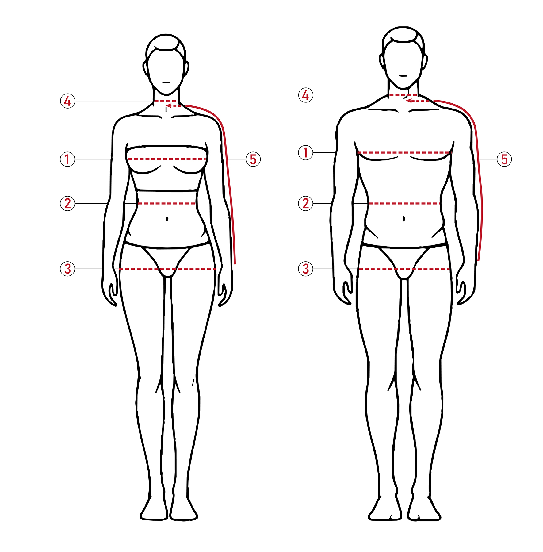 Body measurement diagram