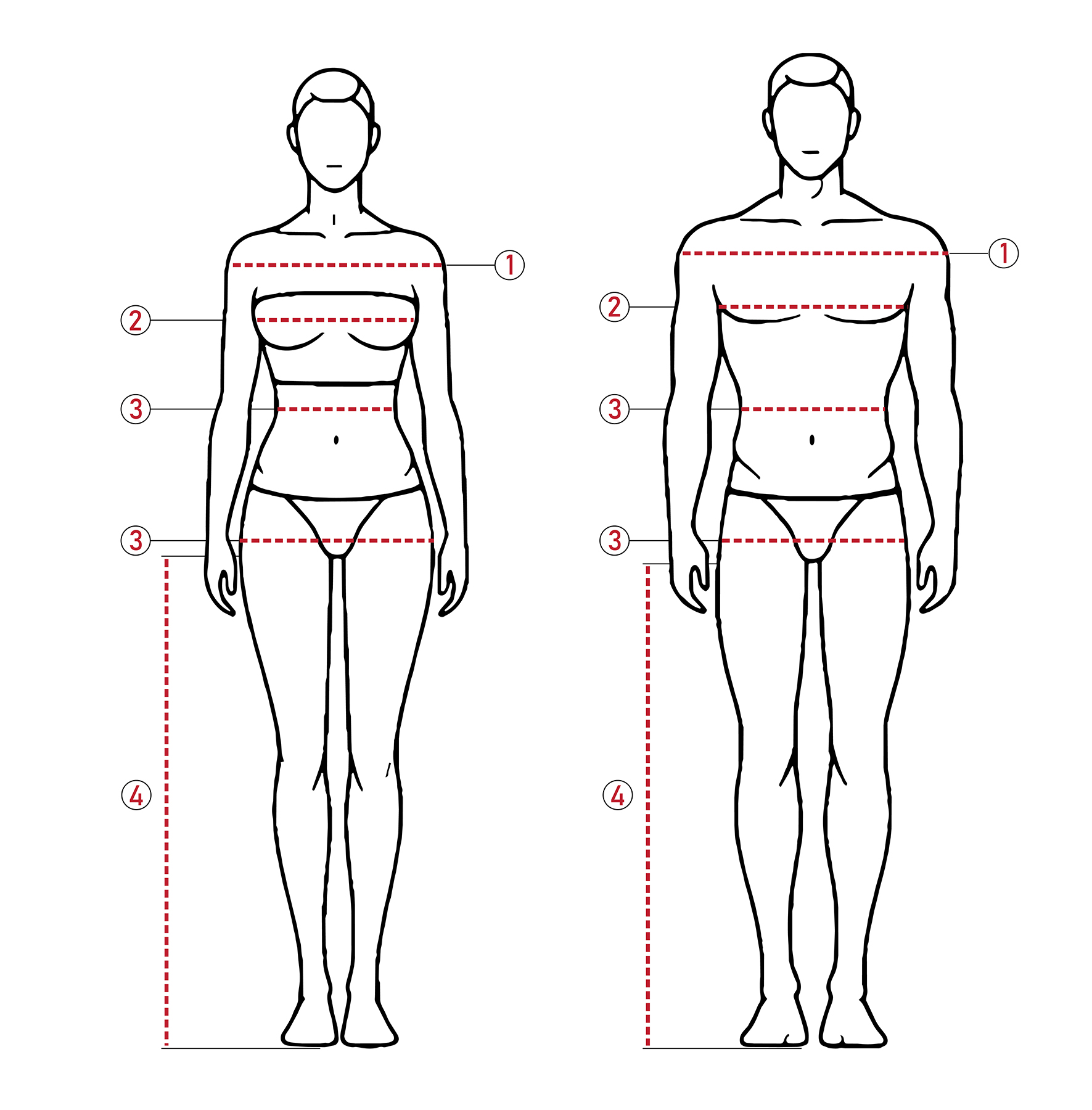 Body measurement diagram