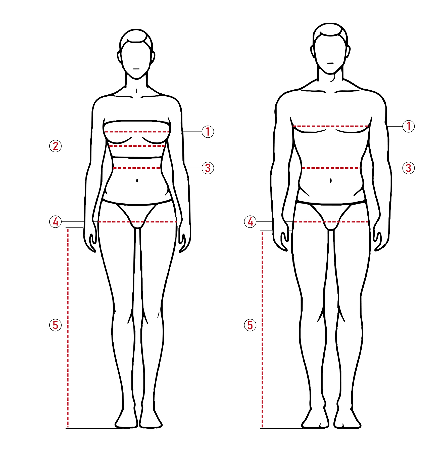 Body measurement diagram