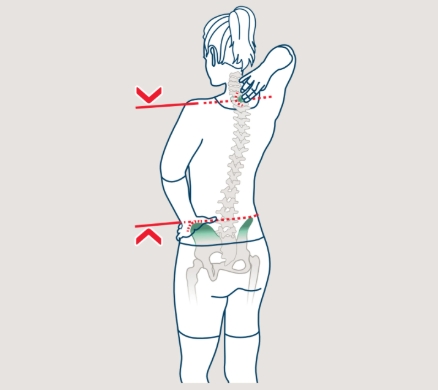 Back length measurement diagram