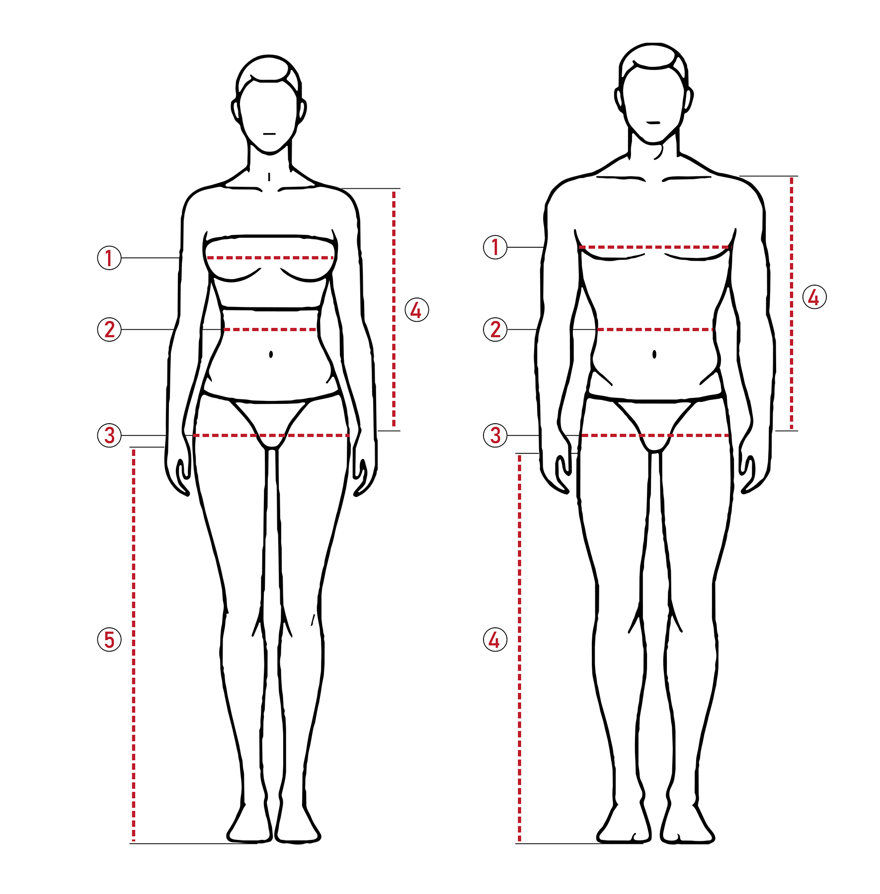 Body measurement guide