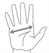 Илюстрация как се взимат мерки за ръкавици