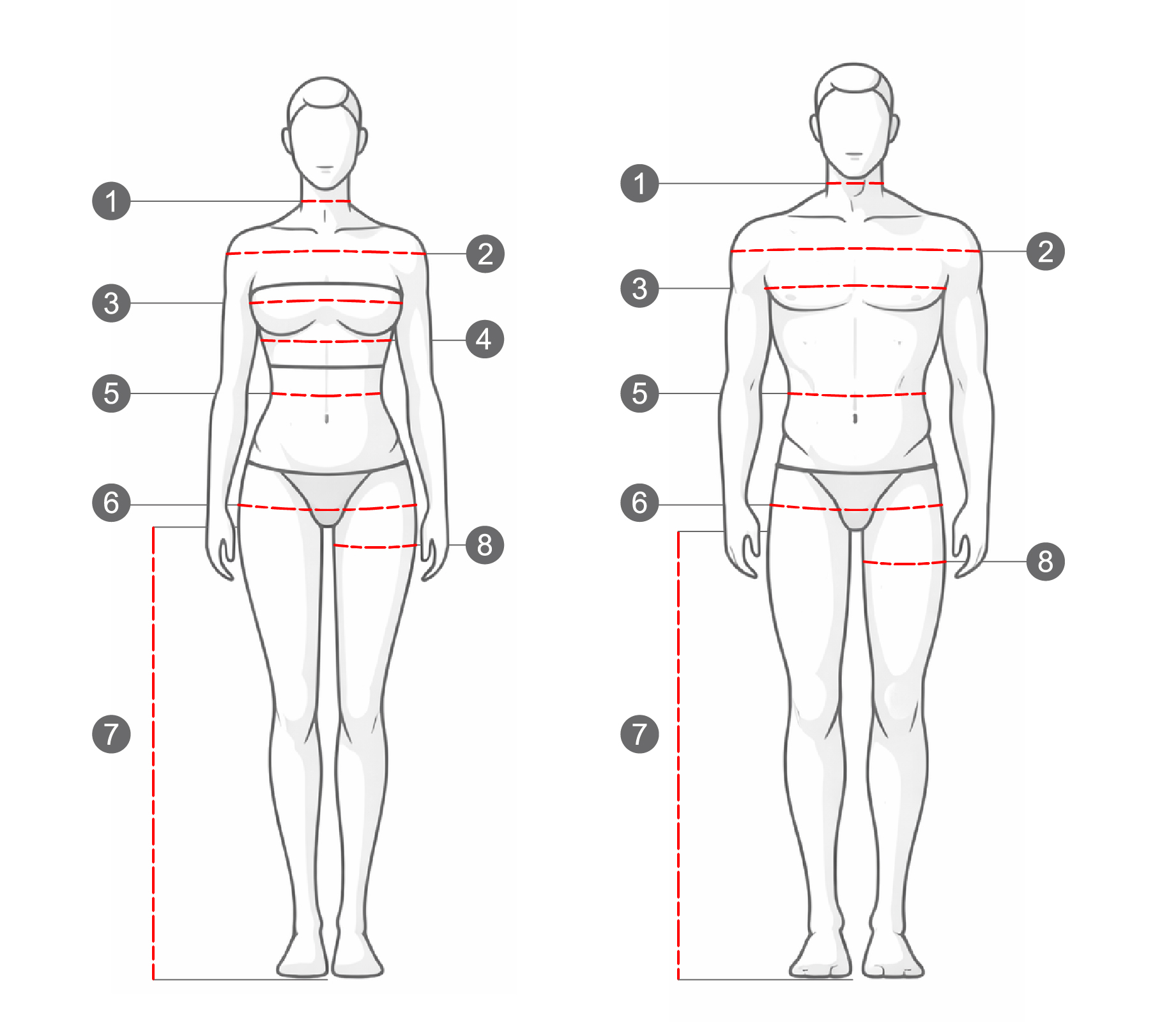 Илюстрация как се взимат телесни мерки &ndash; мъжка и женска фигура